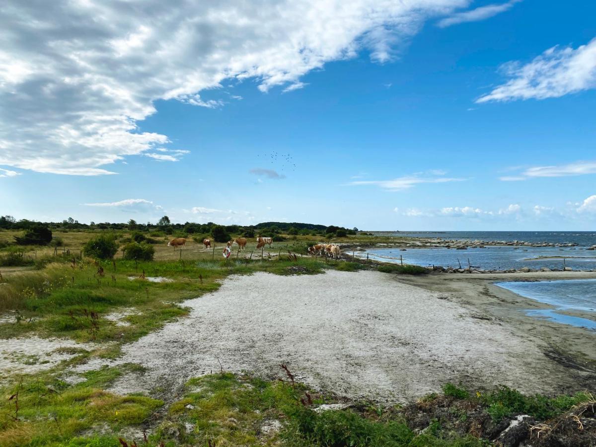 Haelleviks Camping Sölvesborg Extérieur photo